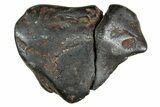 Canyon Diablo Iron Meteorite ( g) - Arizona #243147-1
